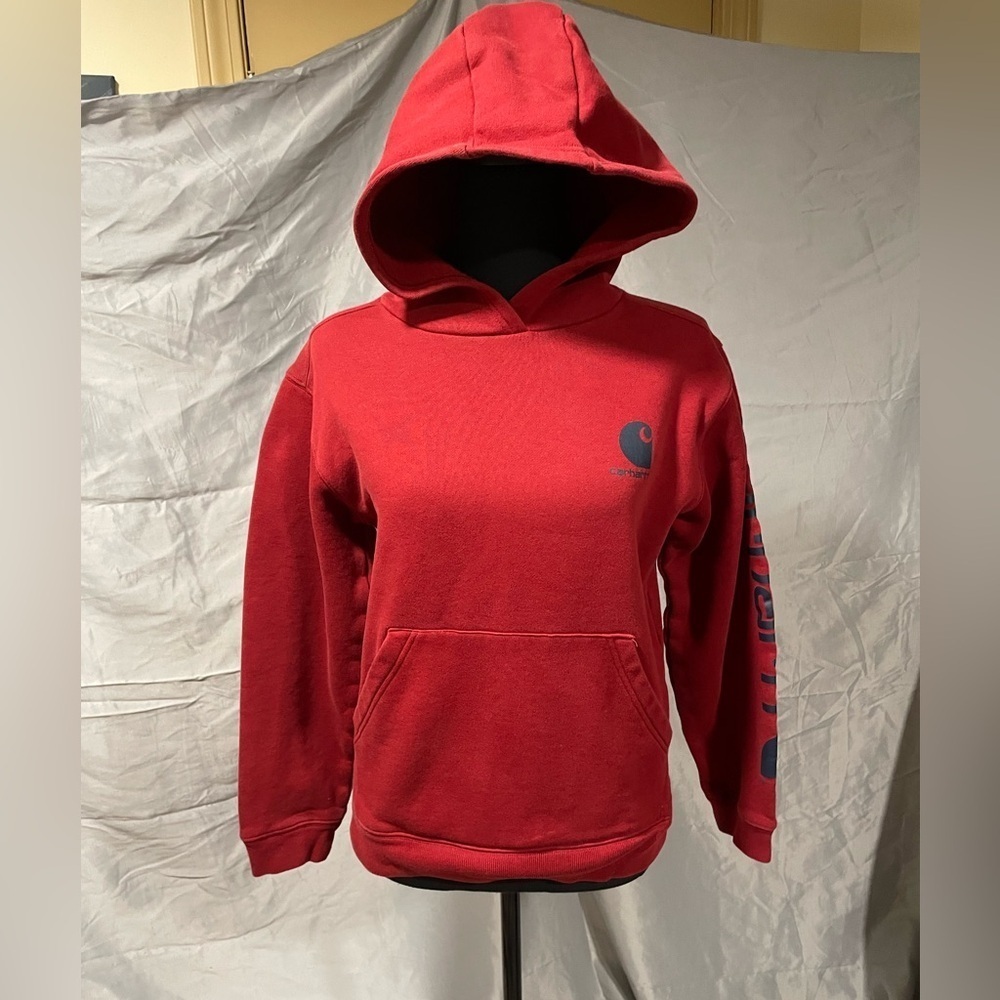 NWOT Carhartt Hoodie - Picture 1 of 9